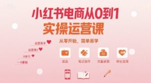 小红书电商从0到1实操运营课,从零开始,简单易学-第一资源库