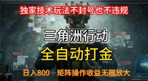 三角洲最新全自动G机，独家技术玩法，不封号也不违规， 日入8张+可矩阵操作，收益无限放大【揭秘】-第一资源库