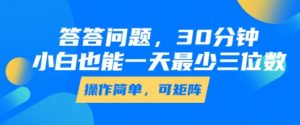 答答问题，30分钟，小白也能一天最少也有三位数，操作简单-第一资源库