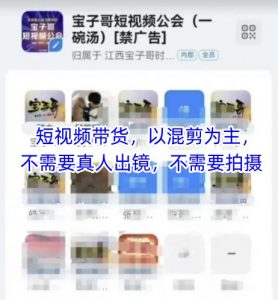宝子哥头部团队短视频带货,以混剪为主,不需要真人出镜,不需要拍摄【更新8月】-第一资源库