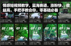 情感短视频教学，蓝海赛道，涨粉快，收益高，手把手教会你，零基础必备-第一资源库
