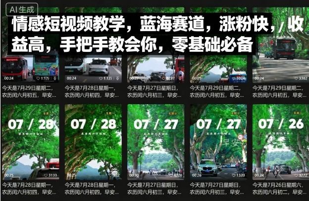 情感短视频教学，蓝海赛道，涨粉快，收益高，手把手教会你，零基础必备-第一资源库