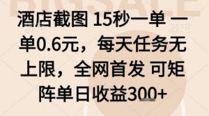 酒店截图项目,15秒一单,一单0.6米,每天任务无上限,全网首发可矩阵单日收益3张+【揭秘】-第一资源库