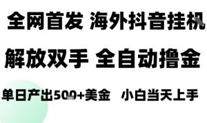 海外抖音无人直播，单日产出1.5k+，长期稳定，新手可玩，无脑操作【揭秘】-第一资源库