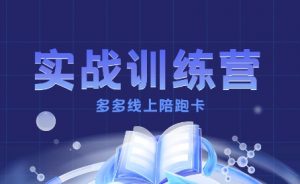 多多实战训练营，从0到1打造一个真正賺钱的店铺-第一资源库