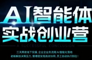 AI智能体实体战创业营（深圳9月23-25日），多维度助力老板、管理层、员工提升效能-第一资源库