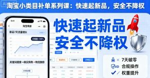 淘宝小类目补单系列课,快速起新品,安全不降权-第一资源库