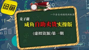 麦子甜咸鱼自助卖货实操版（虚拟资源）一个会自动搞钱的机器-第一资源库