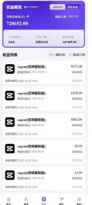 2025风口TK剪映capcut拉新项目，极限高客单，市场空白，2025下半年真正的蓝海项目-第一资源库