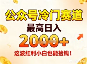 公众号冷门赛道,最高日入1k+,这波红利小白也能捡钱!-第一资源库