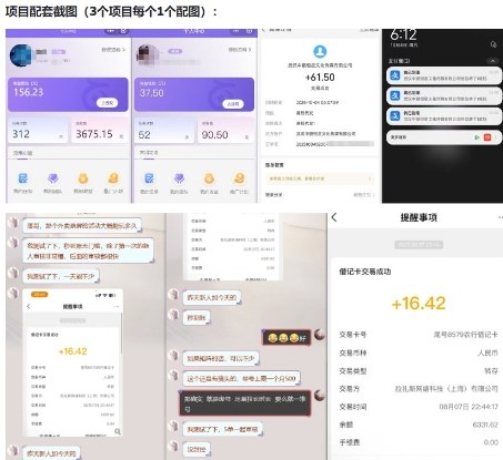 当天能收益的3个小项目拆解_包括平台+操作流程-第一资源库