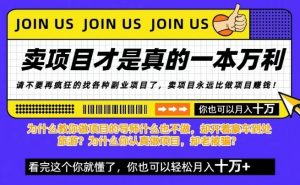 知识付费，你离月入10W只差一个开始！26年给自己一个机会，挖金子不如买铲子【揭秘】-第一资源库