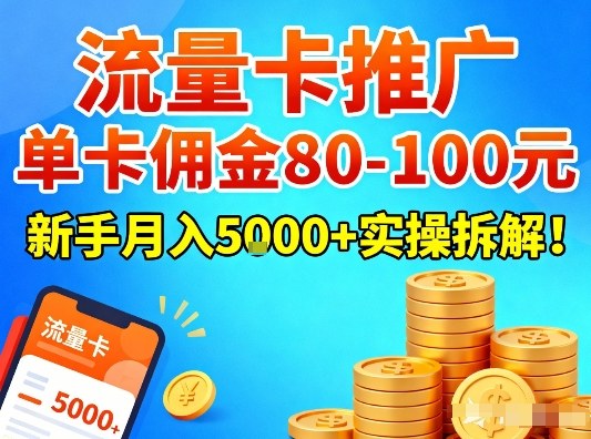 流量卡推广，单卡佣金80-100，新手月入5k+实操拆解！-第一资源库