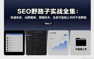 SEO野路子实战全集:快速收录、站群霸屏、黑帽技术,全是可直接上手的干货教程-第一资源库