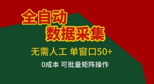 全自动数据采集，无需人工，单窗口50+，0成本可批量矩阵操作【揭秘】-第一资源库