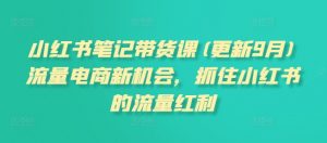 小红书笔记带货课，流量电商新机会，抓住小红书的流量红利(更新26年2月)-第一资源库