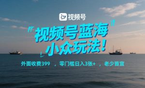 视频号蓝海小众玩法!外面收费399,零门槛日入3张+,老少皆宜-第一资源库