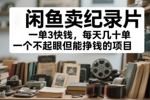 闲鱼卖纪录片，一单3快钱，每天几十单，一个不起眼但能挣钱的项目【揭秘】-第一资源库