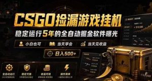 CSGO捡漏游戏挂G,稳定运行5年的全自动掘金软件曝光,小白也可当天学会,当天见收益,日入500+【揭秘】-第一资源库