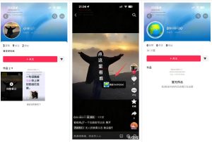 最强抖音引流-隐藏式暂停跳钩子，效果自测-第一资源库
