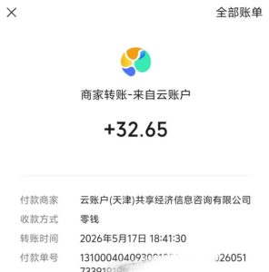 微信游戏撸广独家玩法，今天做明天就能出收益，单号日收益20+，可多号矩阵放大-第一资源库